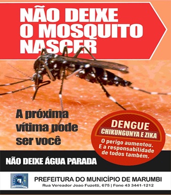  MARUMBI – Campanha de Combate a Dengue