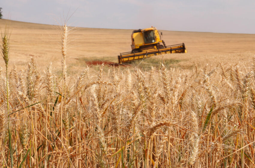  Produtor rural tem até o dia 5 de abril para regularizar nota fiscal