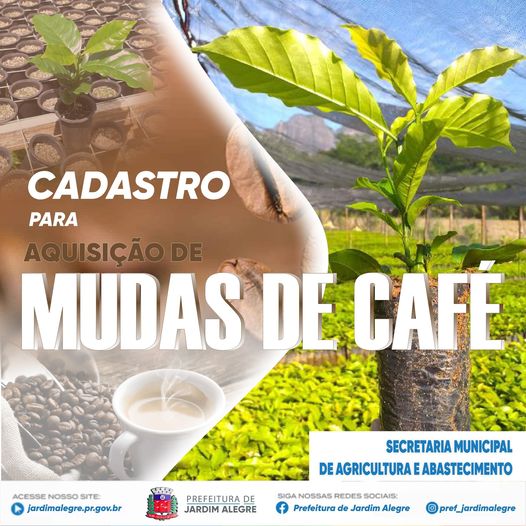  Jardim Alegre realiza cadastro para aquisição de mudas de café para agricultores