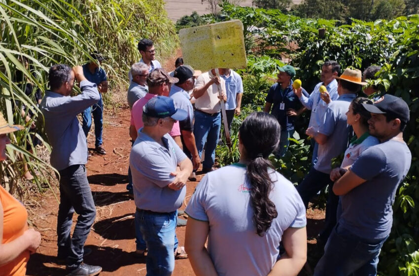  IDR-Paraná organiza reuniões para incentivar produção de frutas orgânicas em Arapongas