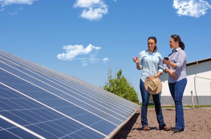  SICREDI – Energia solar: ainda vale a pena investir?