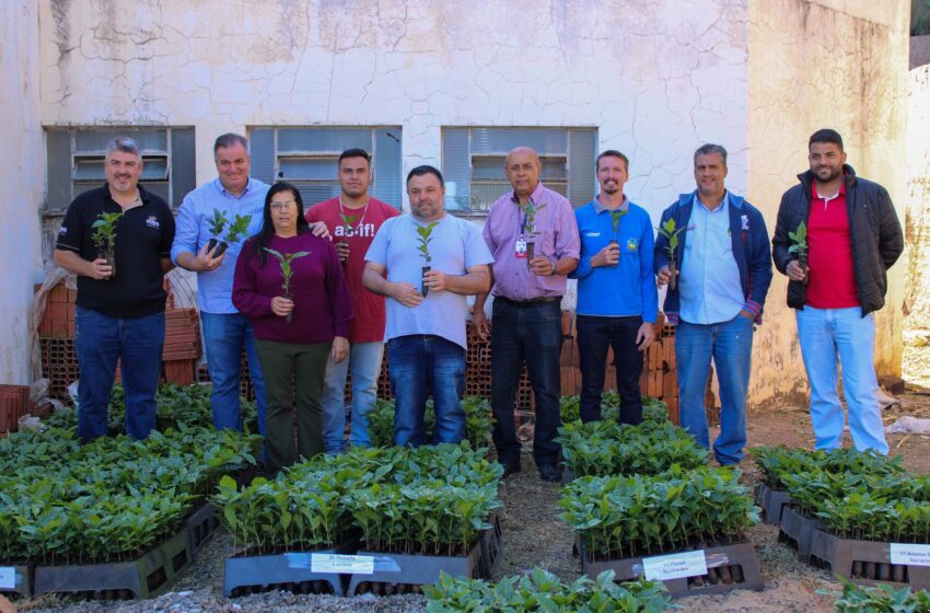  Cambira entrega mudas de café para pequenos agricultores