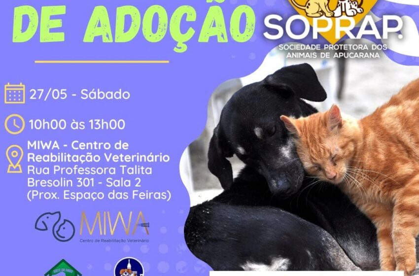  Apucarana promove feira de adoção de animais neste sábado