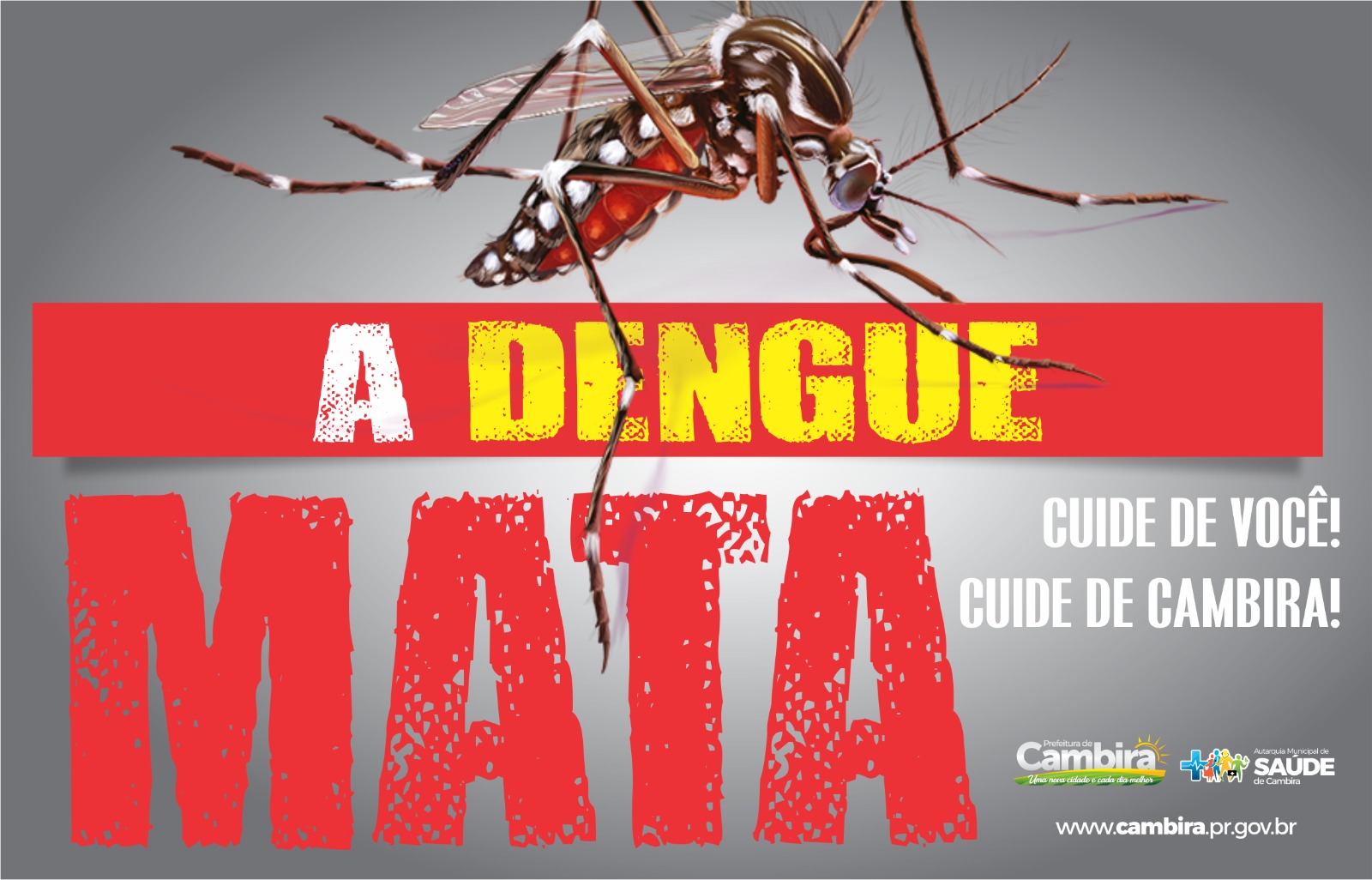 Cambira contra a Dengue