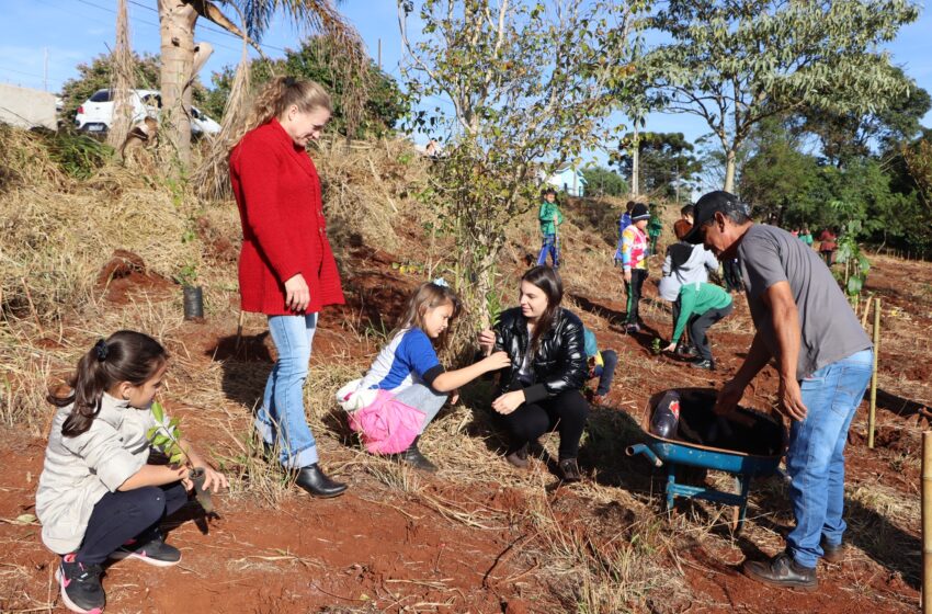  Semana do Meio Ambiente de Ivaiporã estimula estudantes plantar árvores na Mata do Placídio