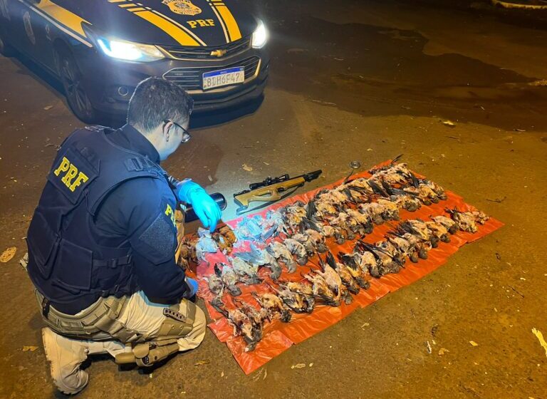  Caçador é detido com 66 aves mortas, em Planalto, no Paraná