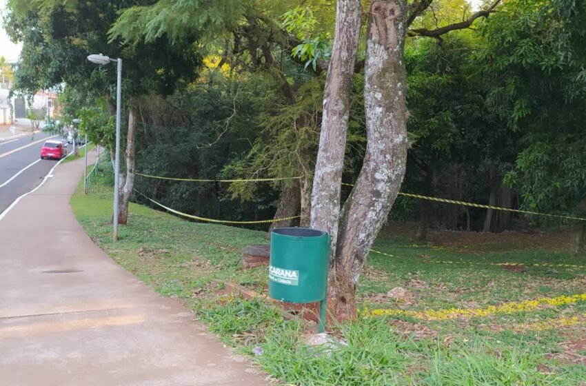  Onça no Parque Jaboti em Apucarana? Pontos foram interditados
