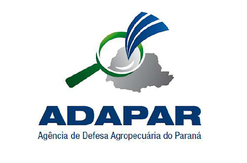  Paraná tem cinco focos de influenza aviária; Adapar monitora os casos