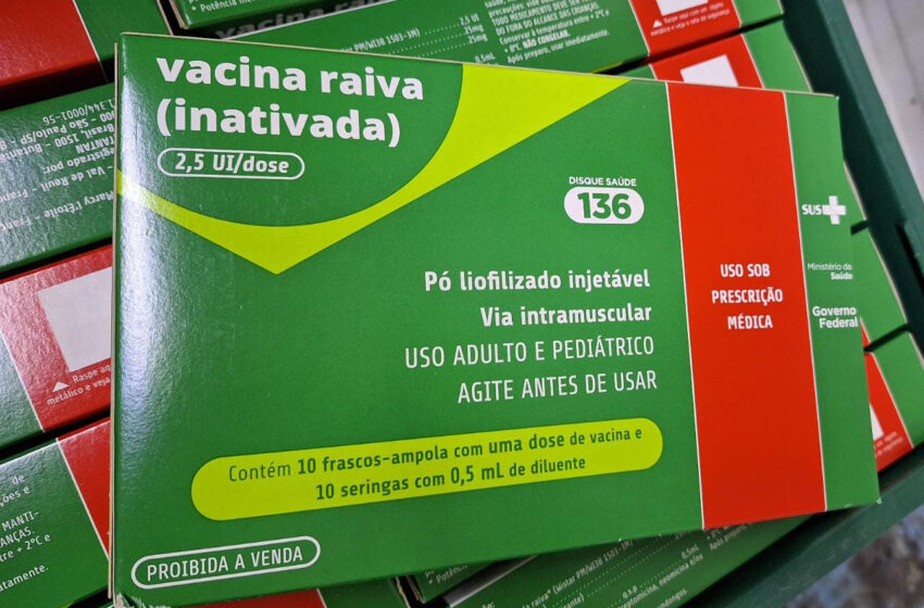  Paraná recebe novas doses da vacina antirrábica humana e alerta para cuidados com a doença