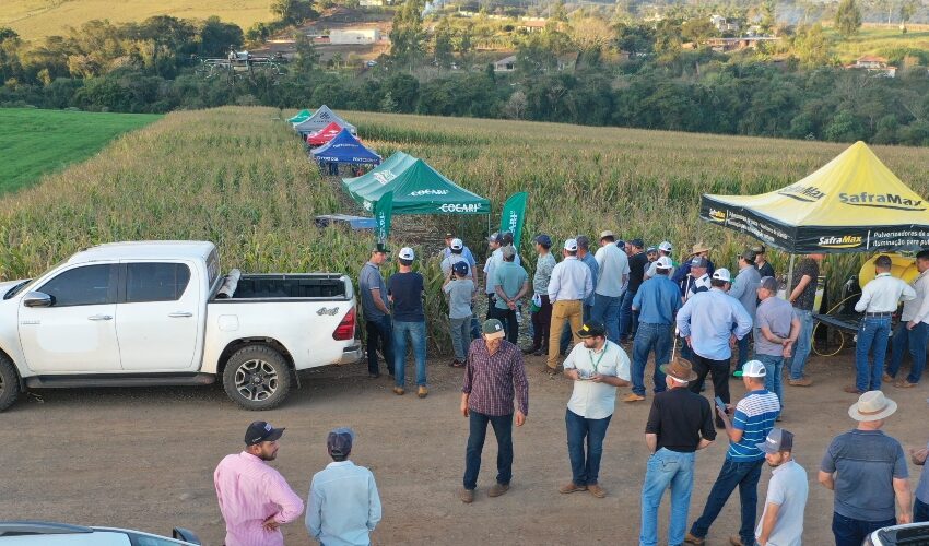  Cocari promove Tarde de Campo de Milho com demonstrações da Inovação Agrícola em Jandaia do Sul