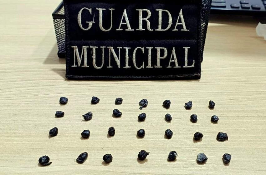  GM de Arapongas encontra pedras de crack escondidas em árvore