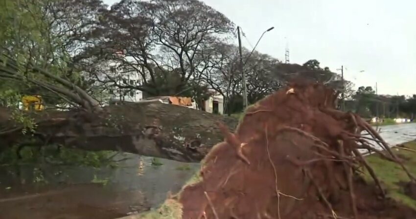  Temporal causa estragos no oeste e sudoeste do Paraná