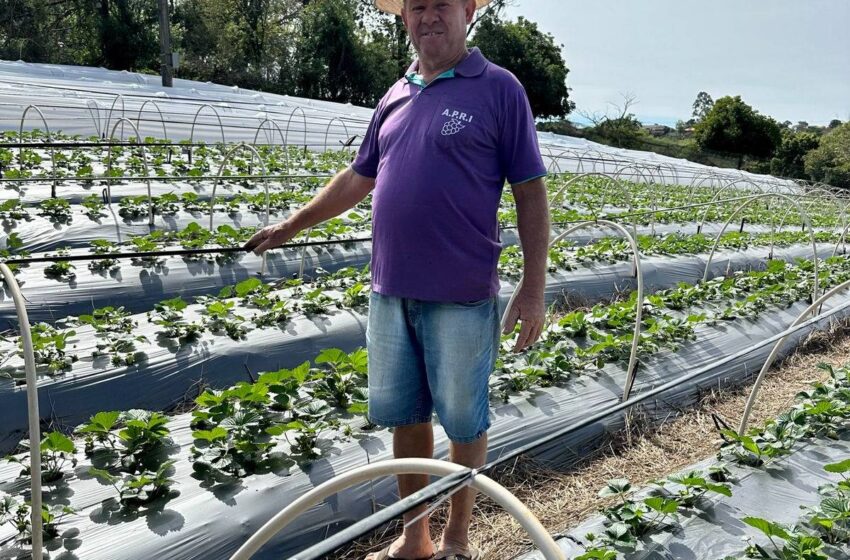  Família Marques em Rosário do Ivaí recebe reconhecimento por investimentos em Agricultura Sustentável e Energia Renovável