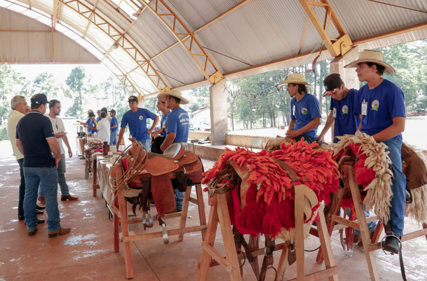  Expoagri Apucarana confirmada para os dias 17,18 e 19 de agosto