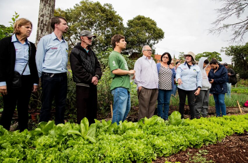  Horta solidária de Apucarana inicia processo de certificação de cultivo orgânico