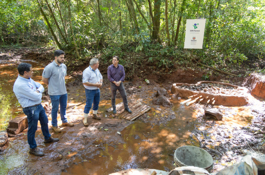  IDR-PR, Sema e Cristma recuperam nascente do Rio Pirapó em Apucarana