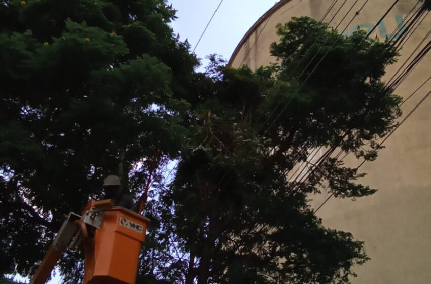  Árvore cai, atinge postes, carros e deixa imóveis sem energia em Apucarana