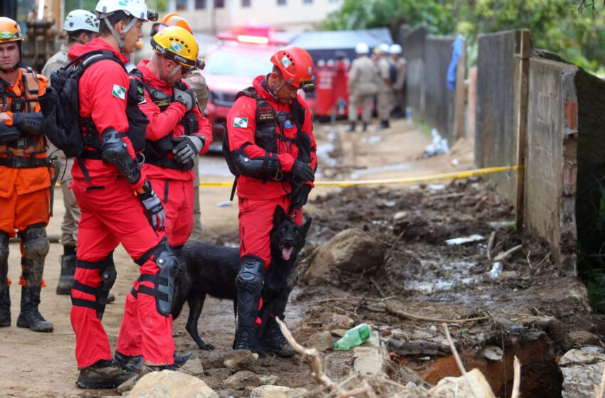  Paraná manda mais sete bombeiros e três cães para ajudar o Rio Grande do Sul