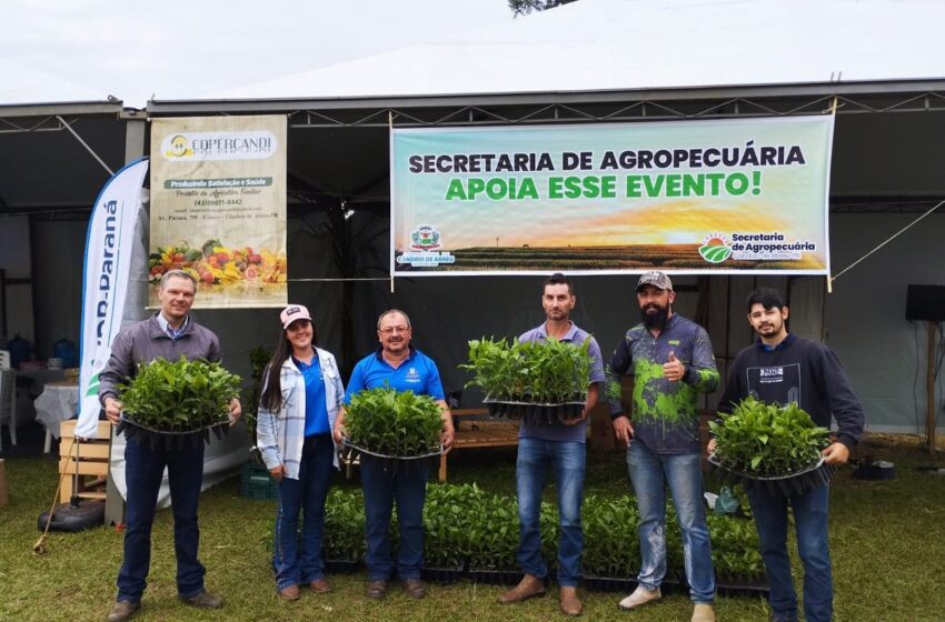  Secretaria de Agricultura de Cândido de Abreu chega a 35 mil mudas de maracujá entregues a agricultores