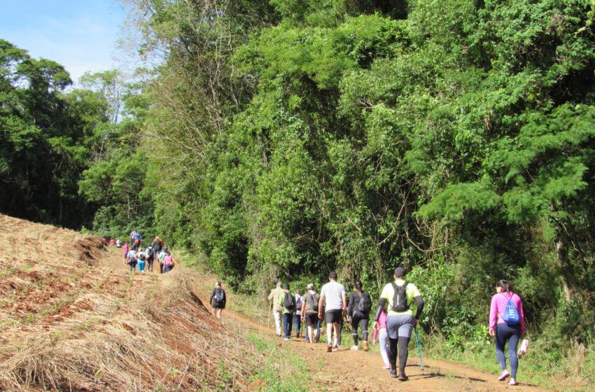  Ariranha do Ivaí Celebra a 6ª Caminhada Internacional na Natureza com Participação Expressiva de 241 pessoas