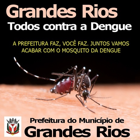  Grandes Rios contra a Dengue