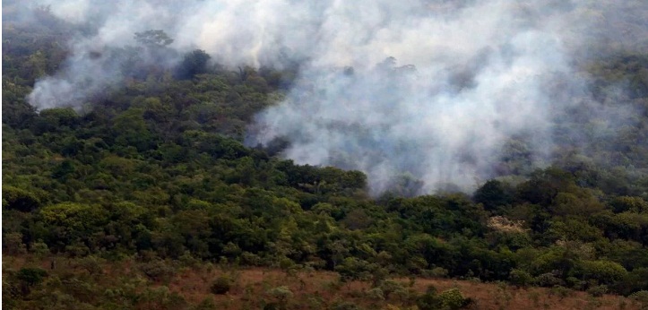  Fumaça de incêndios do Pantanal e na Bolívia chegam ao Paraná