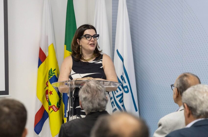  Empresária apucaranense Carmen Lúcia representa indústria brasileira na COP28