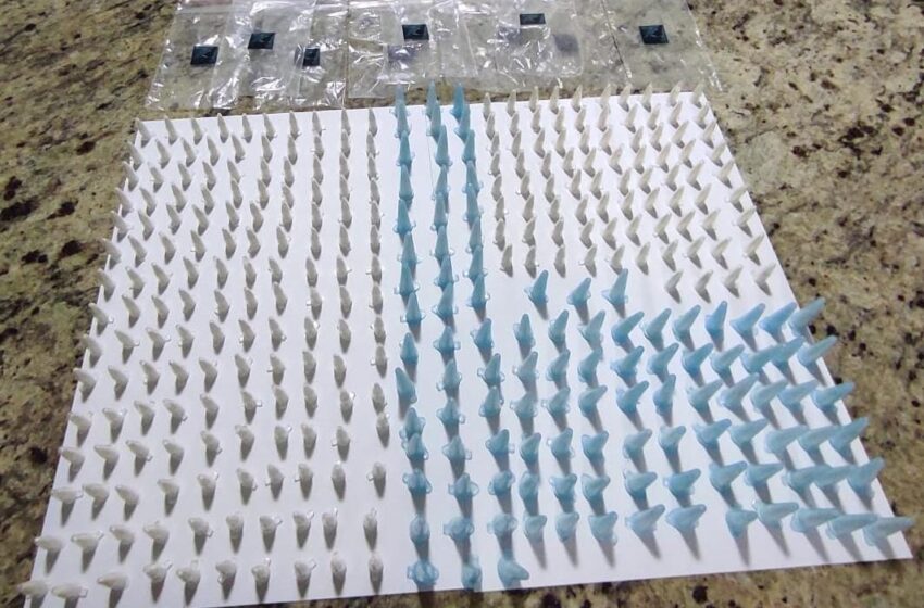  PM de Apucarana encontra mais de 300 pinos com cocaína em relógio de água