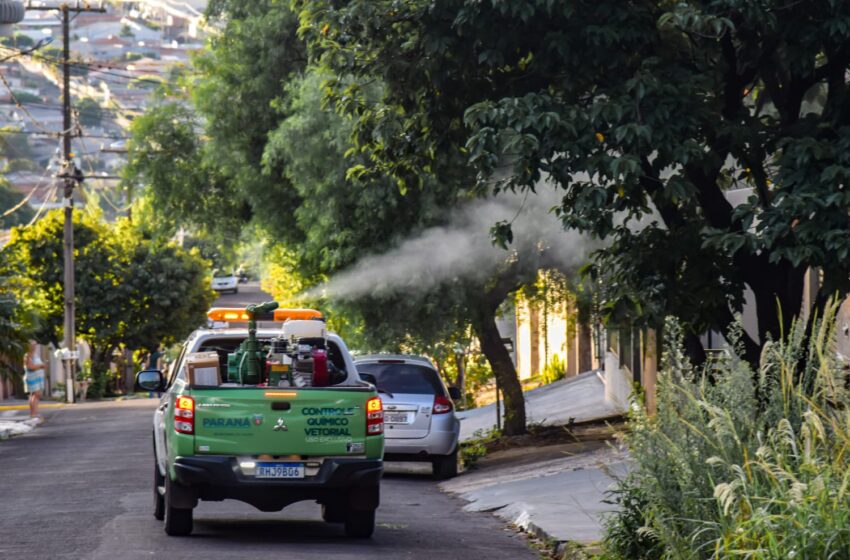  Combate à dengue: Beto Preto determina prorrogação do fumacê em Apucarana