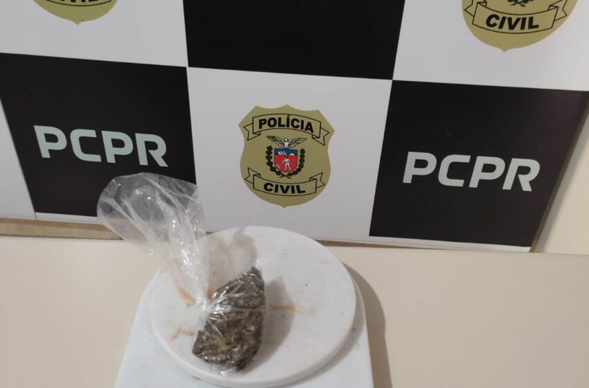  Polícia Civil apreende maconha em Ivaiporã