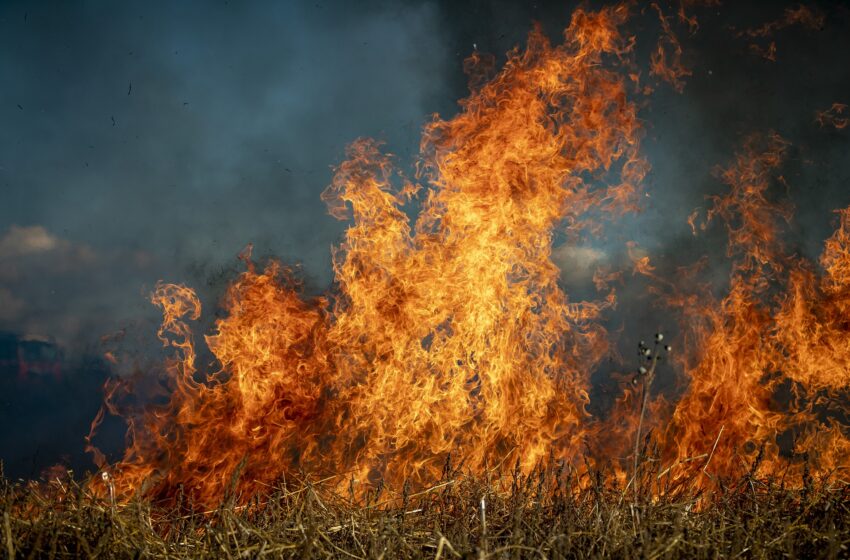  Homem joga cigarro em terreno e provoca incêndio em Ivaiporã