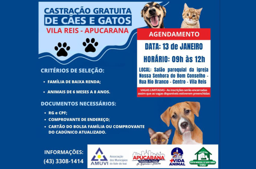  Agendamento para castração gratuita de cães e gatos acontece sábado em Apucarana