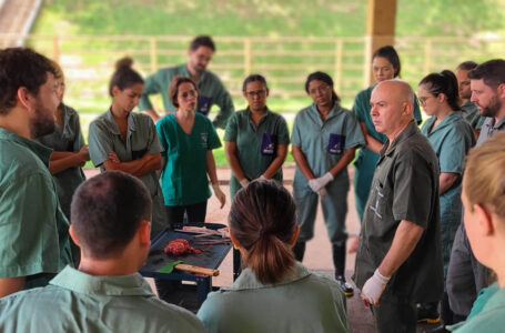 Treinamento de veterinários reforça trabalhos da defesa agropecuária em métodos de
diagnóstico de Brucelose e Tuberculose