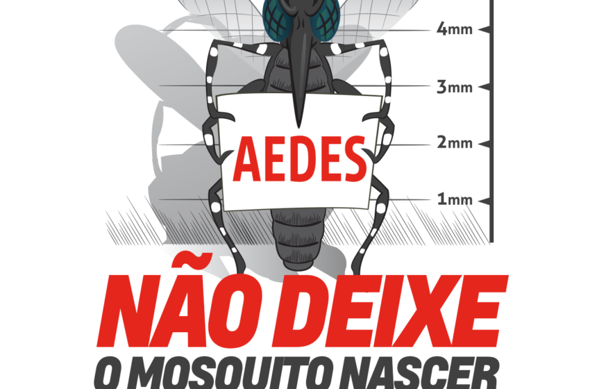 JARDIM ALEGRE – Não deixe o mosquito nascer
