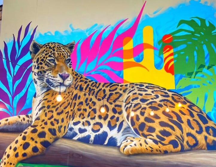  Artista de Apucarana leva cores para vários lugares do Brasil e outros países; veja