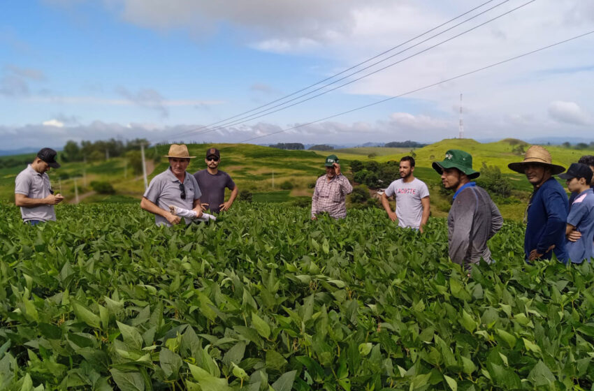  Com assistência do IDR-PR, soja orgânica aumenta rendimento de produtores de Jardim Alegre