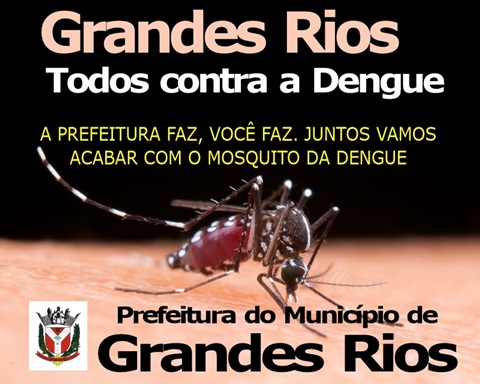  GRANDES RIOS – Todos contra a Dengue!