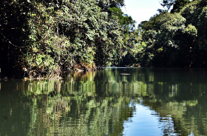  Comitês de Bacias Hidrográficas se reúnem para discutir a gestão de rios do Paraná