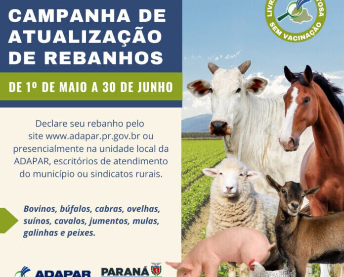  Cambira realiza campanha de atualização de rebanho 2024