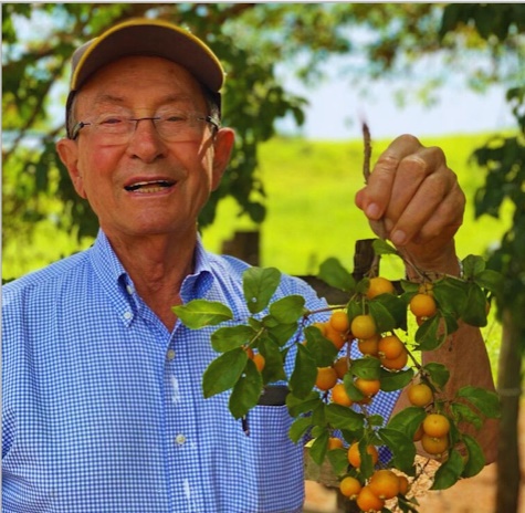  Faleceu em Faxinal o Dr. Milton Auersvald, aos 88 anos