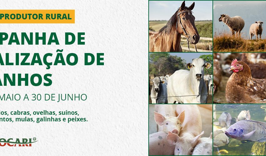  Campanha de atualização de rebanhos tem início no Paraná, Goiás e Minas Gerais