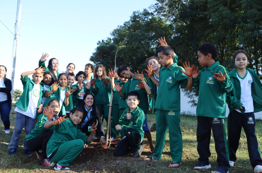  Secretaria de Meio Ambiente de Ivaiporã e alunos da rede municipal plantam 54 árvores na Avenida Espanha