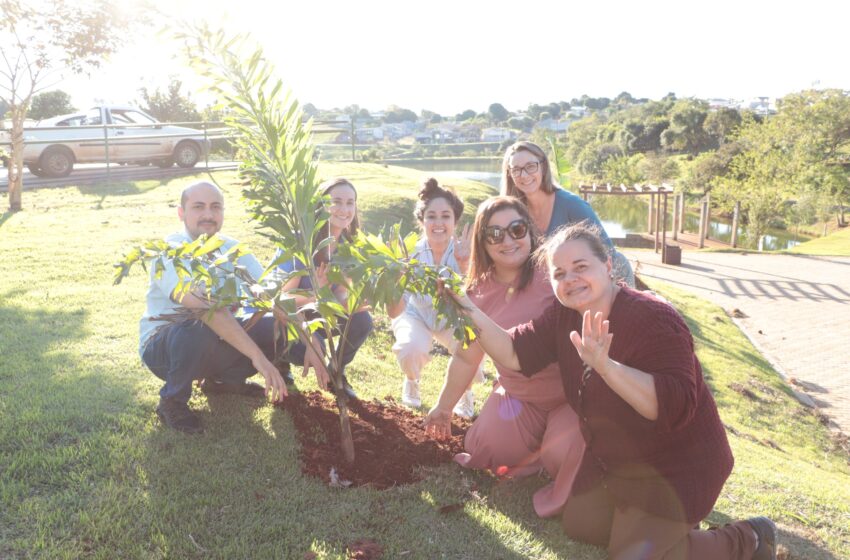  Secretaria do Meio Ambiente de Jardim Alegre realiza o plantio de mudas de árvores