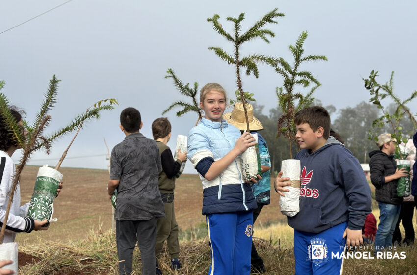  Em comemoração ao Dia Mundial do Meio Ambiente, Manoel Ribas realiza plantio de mudas de árvores