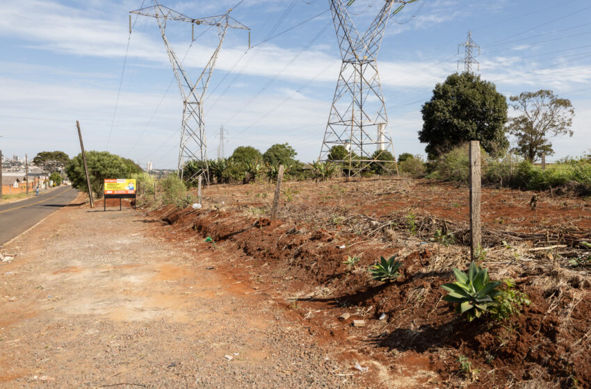  Apucarana firma convênio com Copel para expandir programa de hortas solidárias