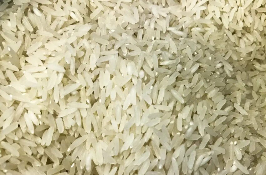  Polícia Federal abre investigação sobre leilão de arroz