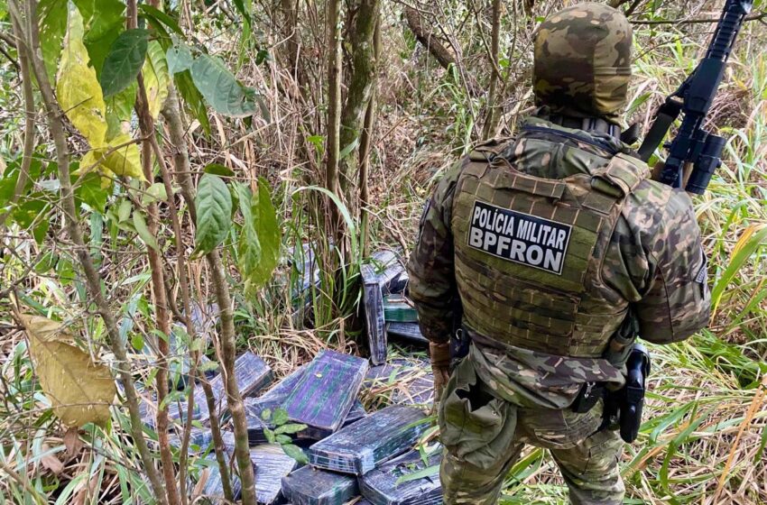  Combate ao tráfico: apreensões de maconha e cocaína crescem no Paraná no 1º semestre