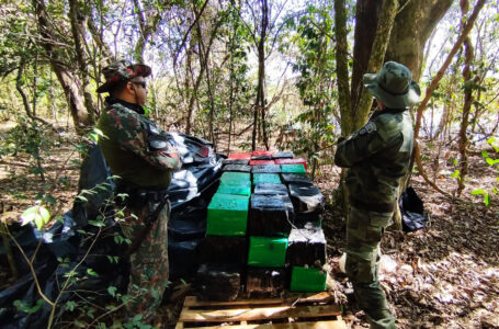 Polícia Ambiental apreende 933,85 kg de substância análoga a maconha em Umuarama