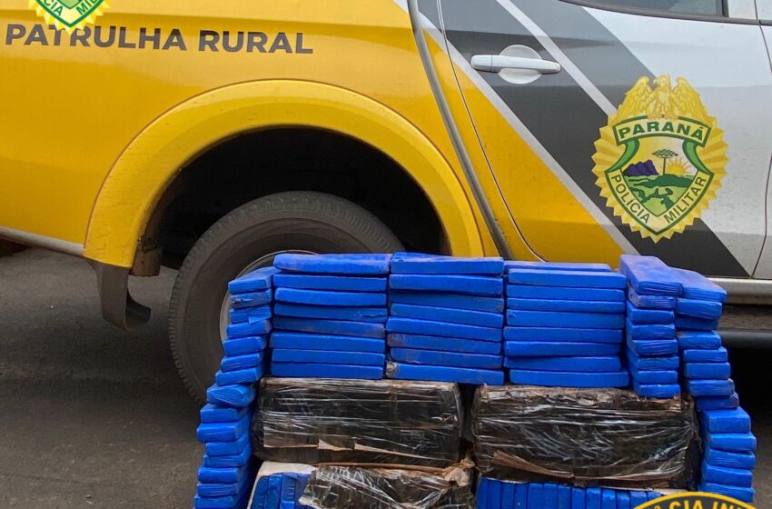  Patrulha Rural apreende mais de 130 Kg de maconha em São João do Ivaí