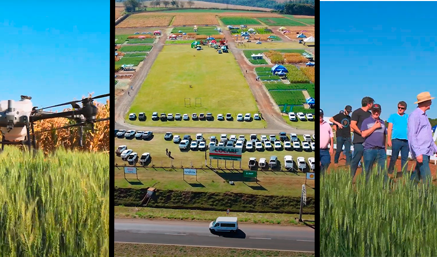  Cocari realiza Dia de Campo de Inverno e apresenta opções de melhorias para as lavouras